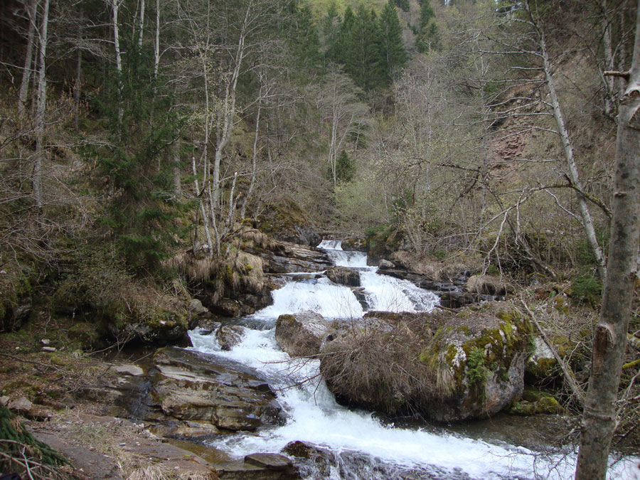 Lungo il torrente Bordina